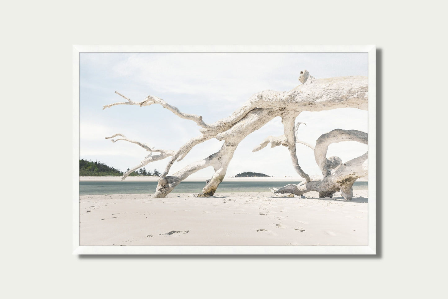 Drift Wood Composition