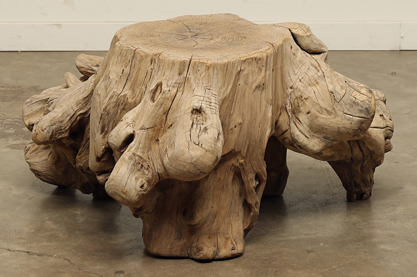 Locust Wood Sculpture