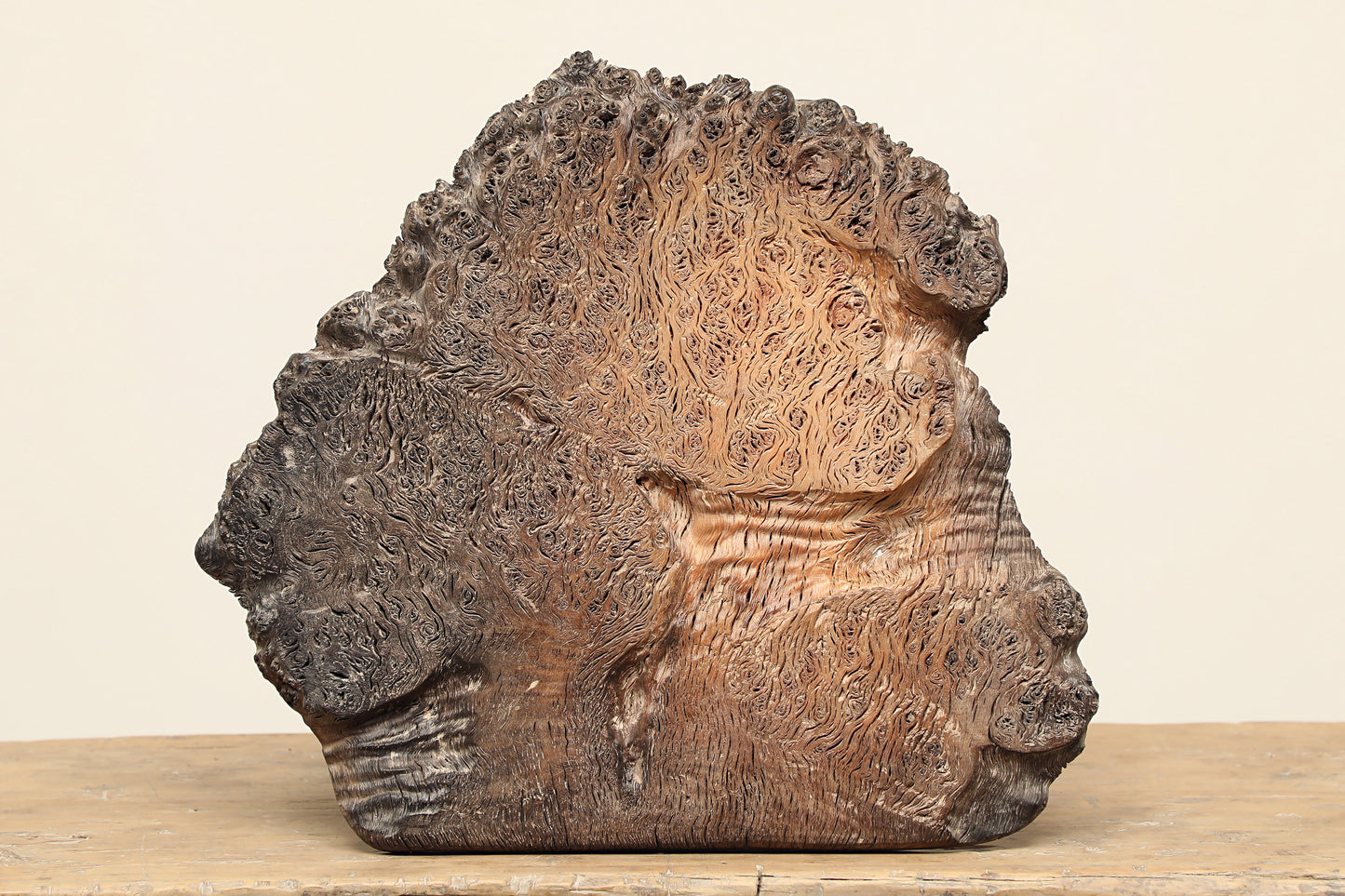 (GAT050) Oak Wood Carving (17x15x1)