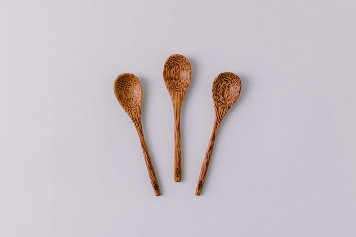 Coconut Palm Wood Teaspoon