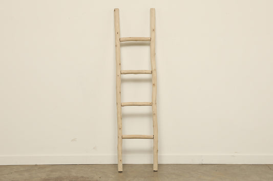 (PP166) Murphy Ladder (14x2x60)