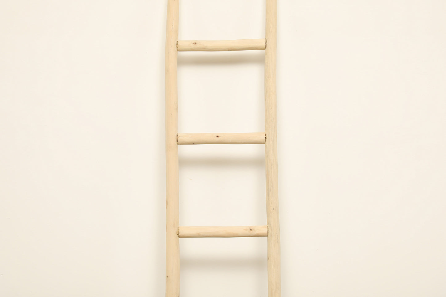 (PP166) Murphy Ladder (14x2x60)